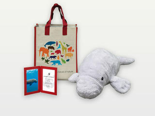 Adopt a Dugong