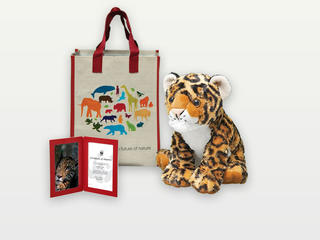 Adopt a Jaguar