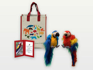 Adopt a Macaw