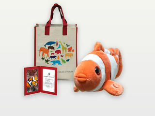 Adopt a Clown Fish