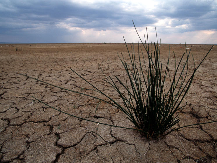 Adapting-to-climate-changehi_50199