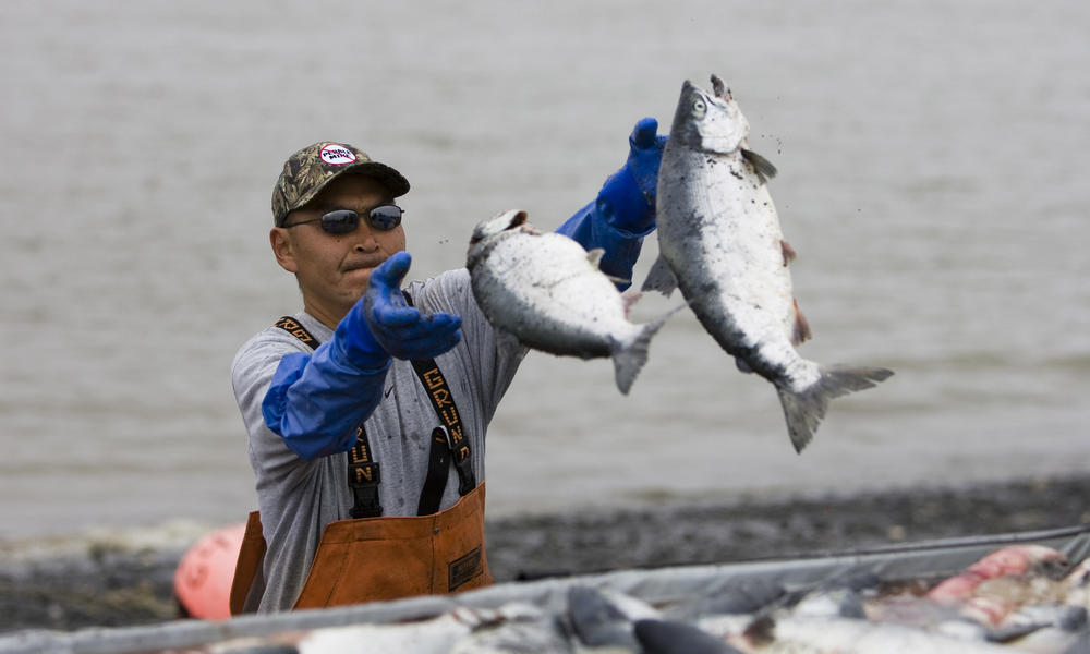 Fishing
