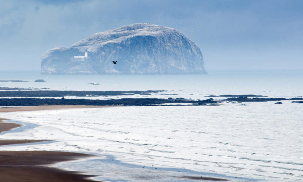 Scotland_bass_rock_nha