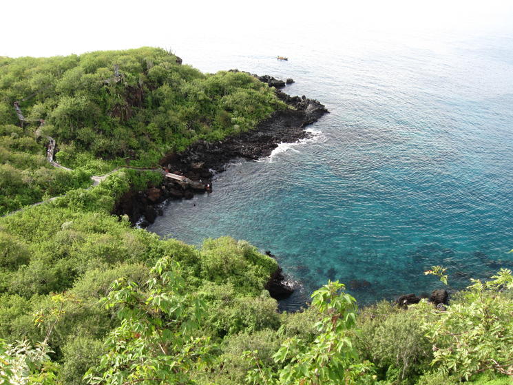 Picture_071