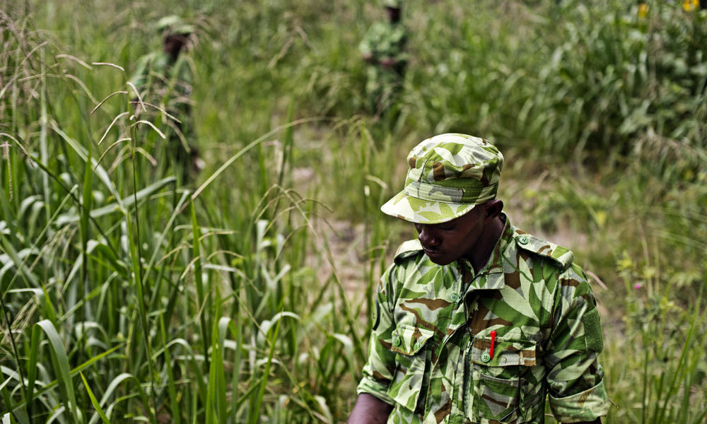 Ranger in tall grass