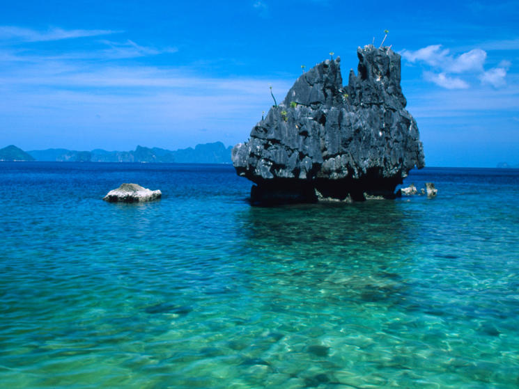 36132_lagenislandpalawan_vinjtoledo_wwf-canon
