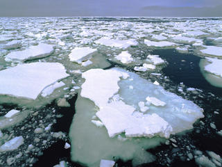 Sea_ice
