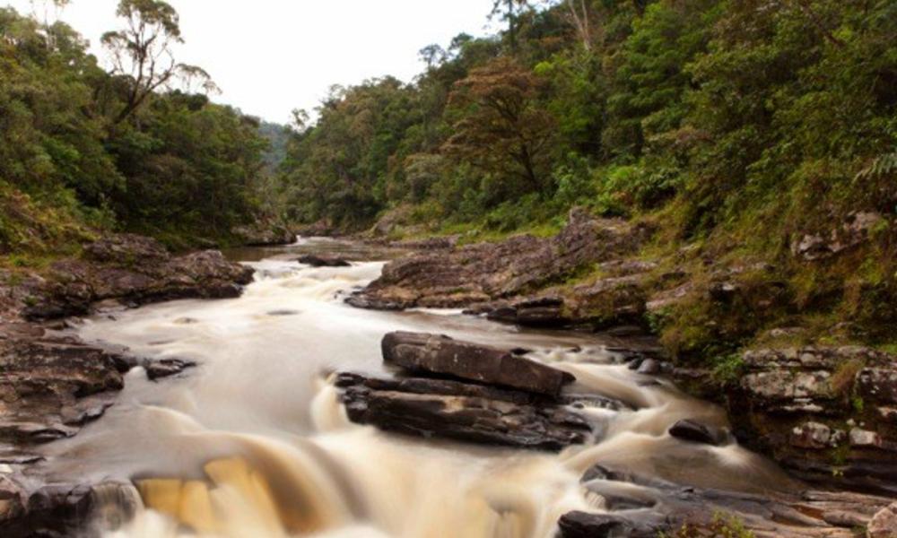 Madagascar-waterfall_-_courtwhelan