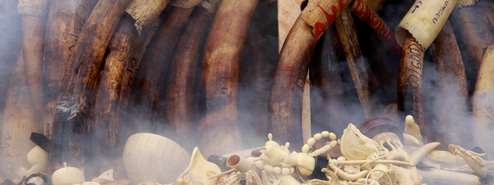 Elephant tusks and ivory products and trinkets go up in flames during the burning of Gabon's illegal ivory