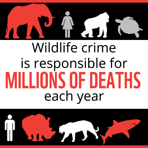 Stop Wildlife Crime: WWF Original Series | WWF