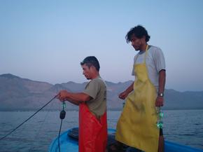 Fishermen with turtle lights