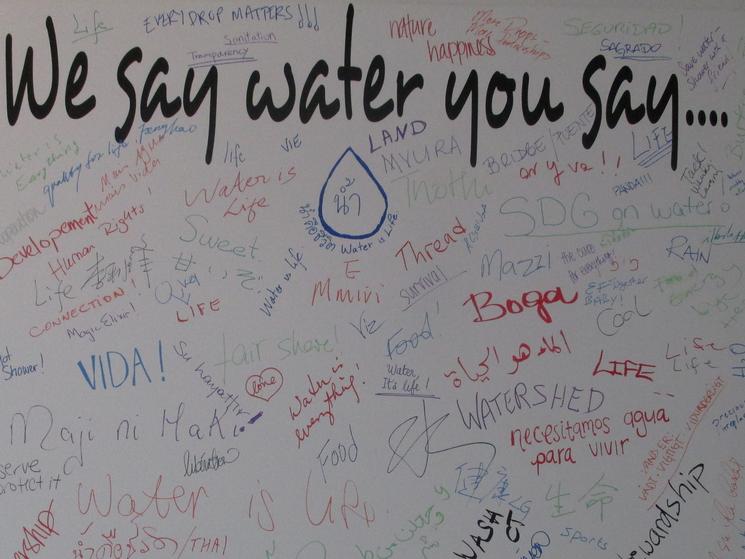 Wesaywater