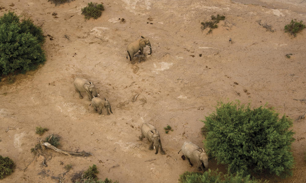 Nationalgeographic_1140410-larger