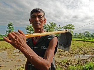 mahato in garden
