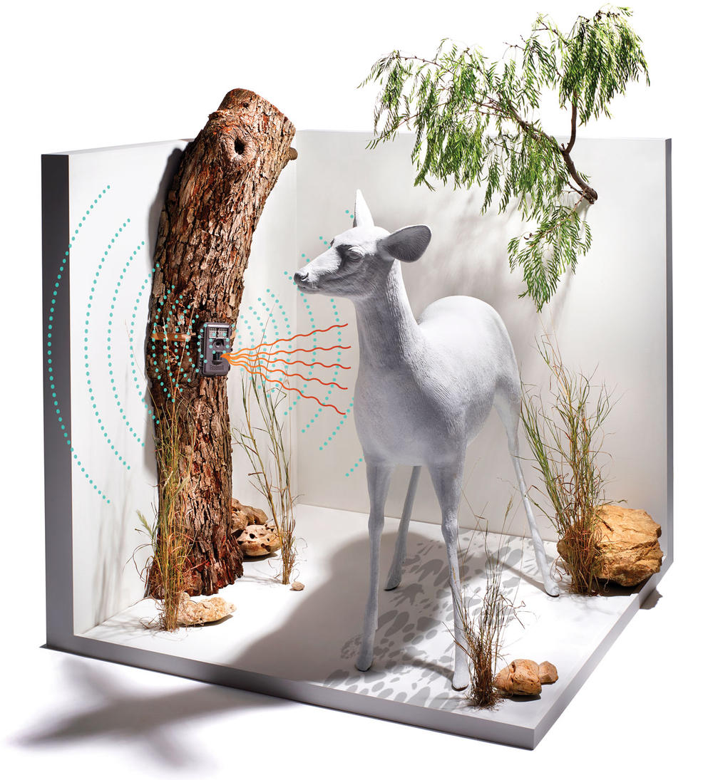 Wwf_camtrap-adjusted-for-web
