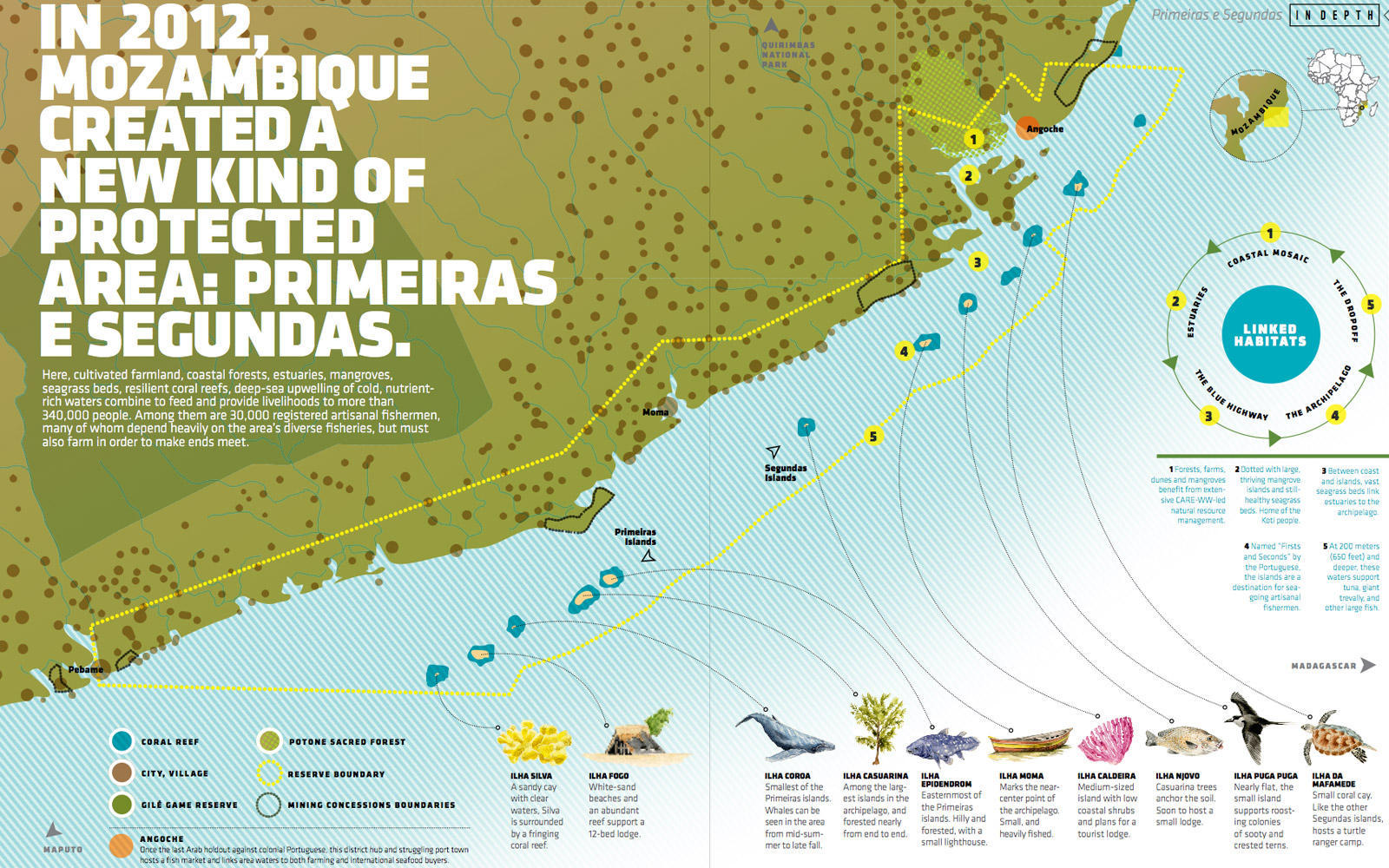 Infographic2