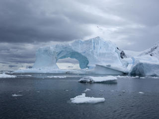 antarctic ice