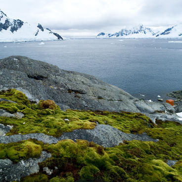 antartica land and ice