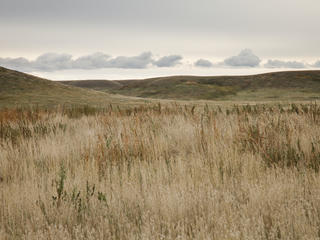 south dakota