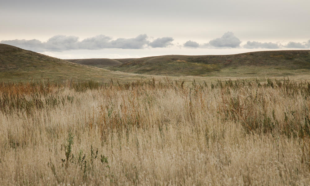 south dakota