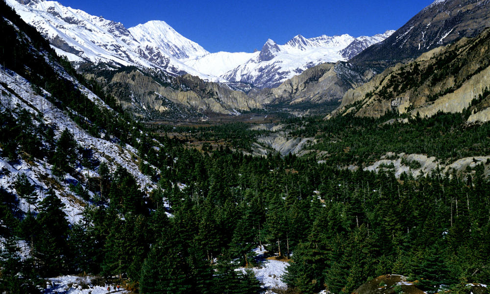 Himalayas