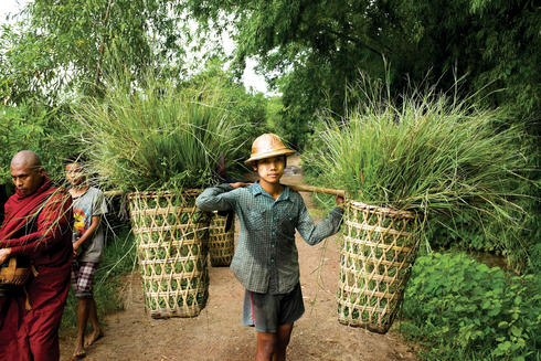 In the countryside, many adolescents forgo education to work long hours at back-breaking tasks. That’s beginning to change, with more families choosing to keep their children in school.