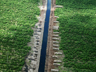 drainage canal