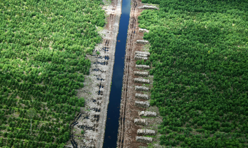 drainage canal