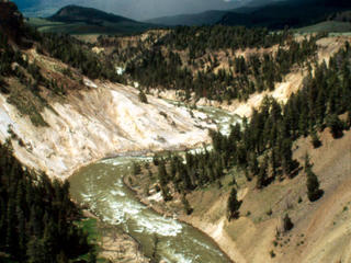 Travel with WWF