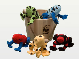 Adopt a Bucket of Frogs