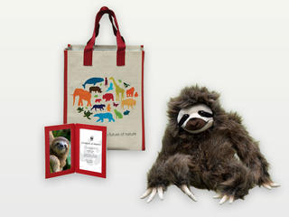 Adopt a Sloth