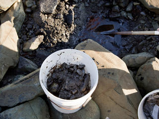 oil cleanup