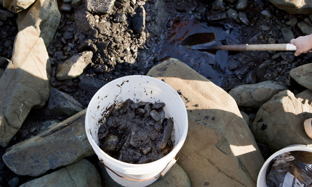 oil cleanup