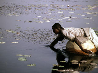 Hadejio-Nguru wetlands Nigeria