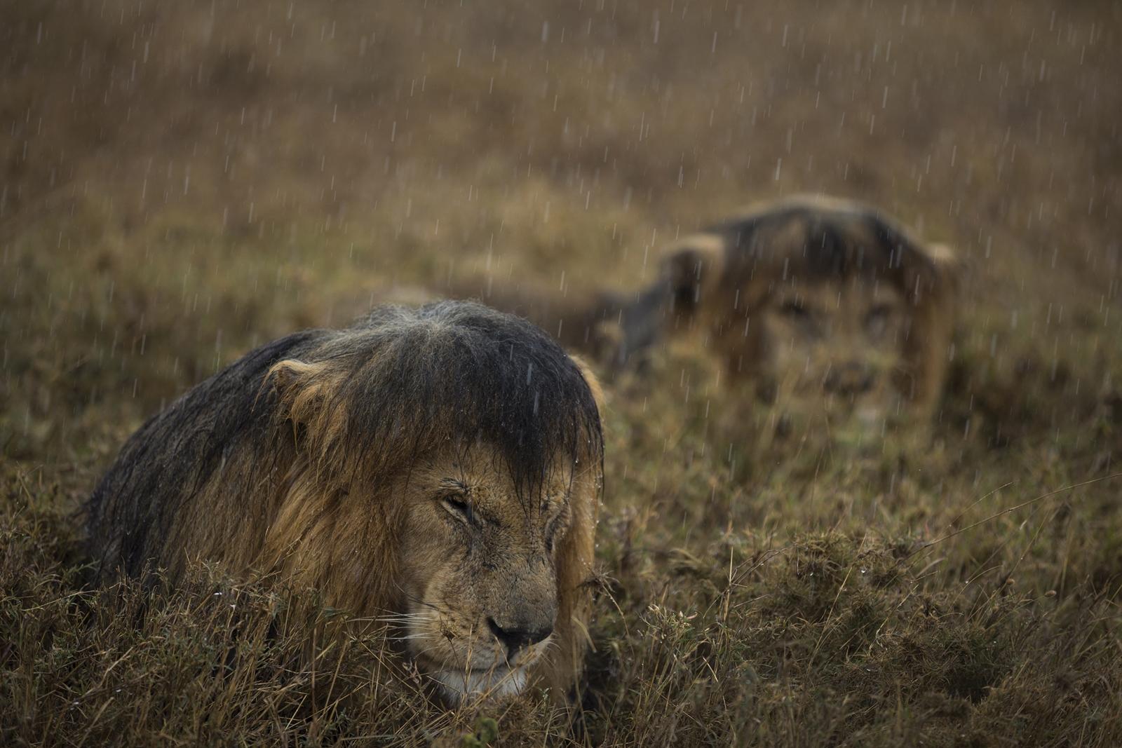 Nationalgeographic_1573832_for_web