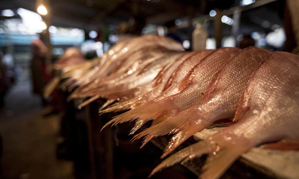 fish for sale