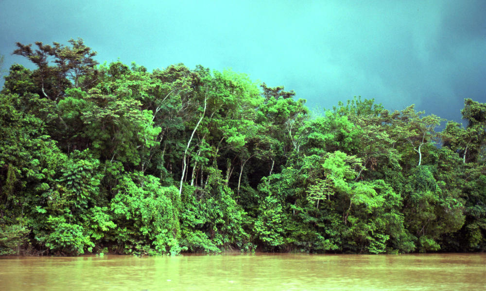Borneo Malaysia
