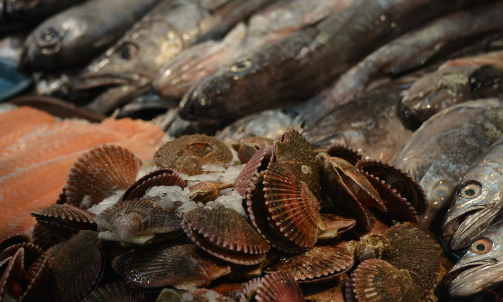 seafood