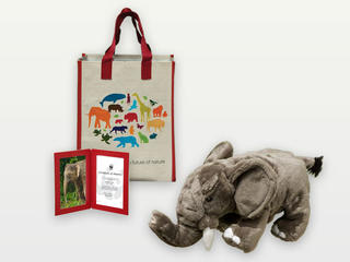 Adopt an Elephant