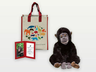 Adopt a Bonobo