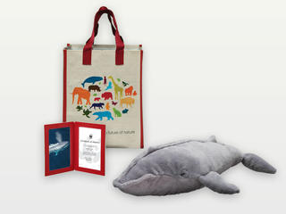 Adopt a Whale