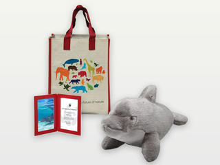 Adopt a Dolphin