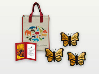 Adopt a Monarch Butterfly