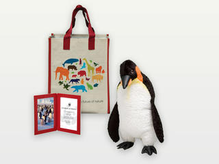 Adopt a Penguin