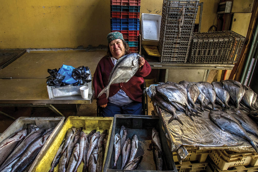 Mkohut_wwf_chile-valparaiso-076_optimized
