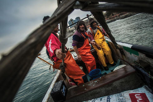 Fishermen finishing morning work