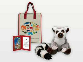 Adopt a Lemur