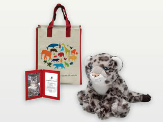 Adopt a Snow Leopard