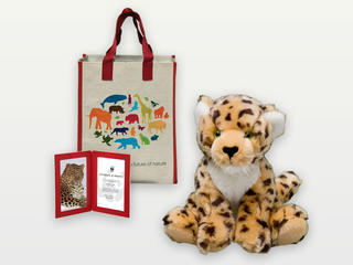 Adopt an Amur Leopard