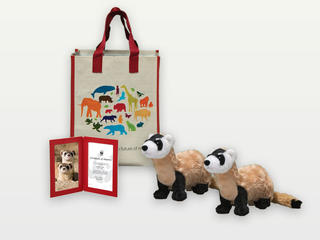 Adopt a Black-footed Ferret